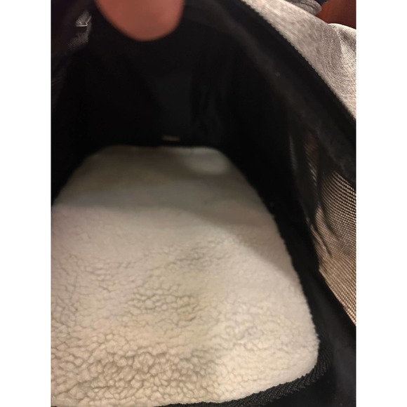 Luxury Travel for pets! - Picture 10 of 16